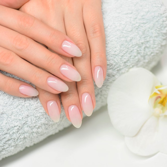 Nails – New Set Services